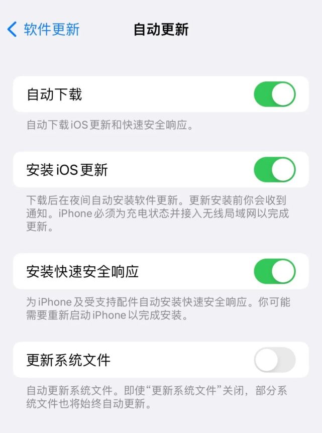 兴化苹果手机维修分享苹果快速安全响应更新有必要安装吗 